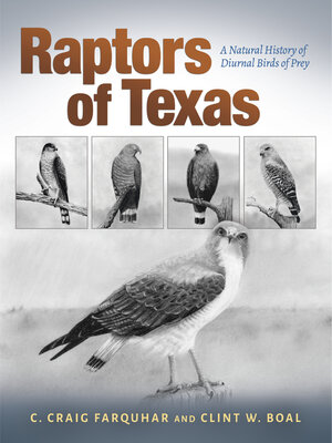 cover image of Raptors of Texas